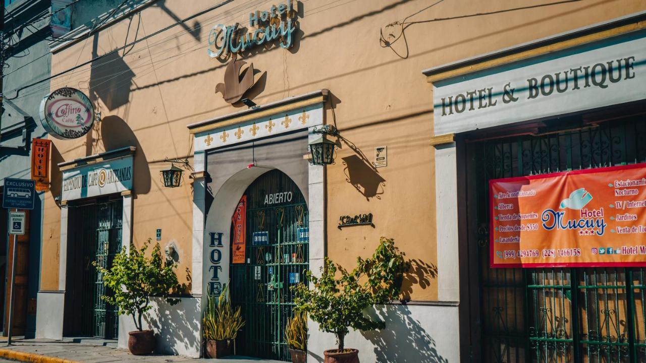 Hotel Mucuy Merida Exterior photo